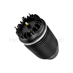 Ressorts pneumatiques amortisseurs Dodge RAM DS 2014-2024